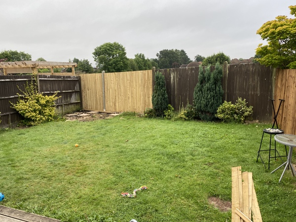 Help a total novice with new garden ?
