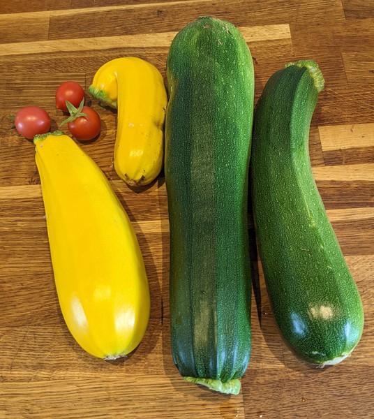 Allotment/Veg patch Thread 17 - onwards and upwards