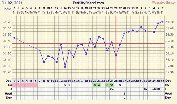 Reading Too Much Into This? BBT Chart 10DPO