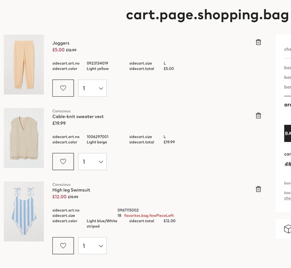 H&M Conscious