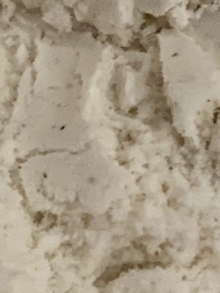 Flour - what are these black things?!