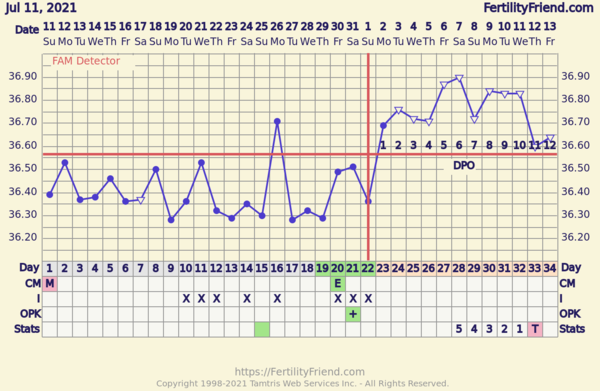 BBT chart advice