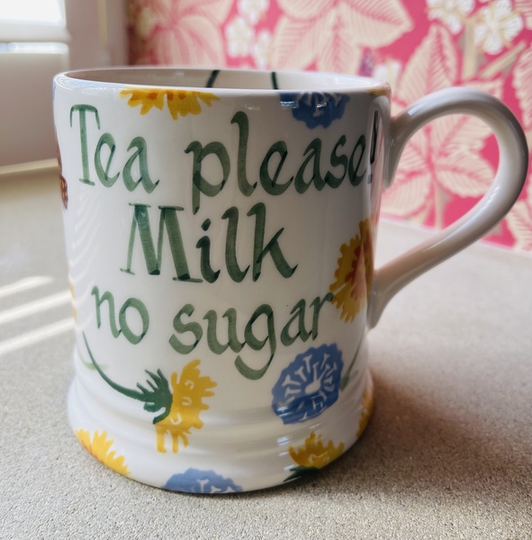 The Emma Bridgewater Appreciation Thread