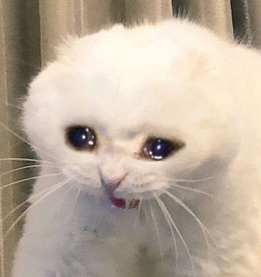 What film do you want to watch, but daren’t because you know you will cry