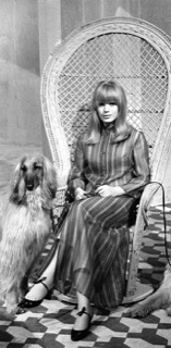 Dogs that you don’t see anymore