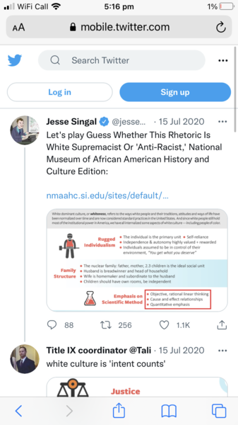 UK academic sues university after losing role in critical race theory row