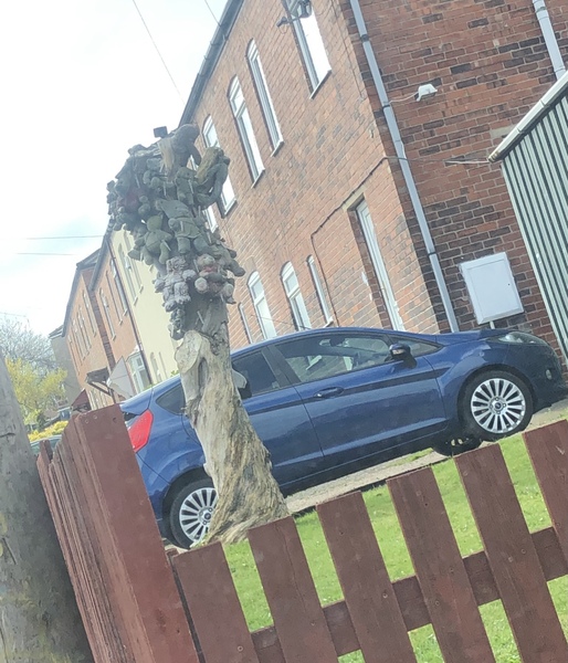 What's the strangest thing you've seen in someone's house that they thought was 'normal'?