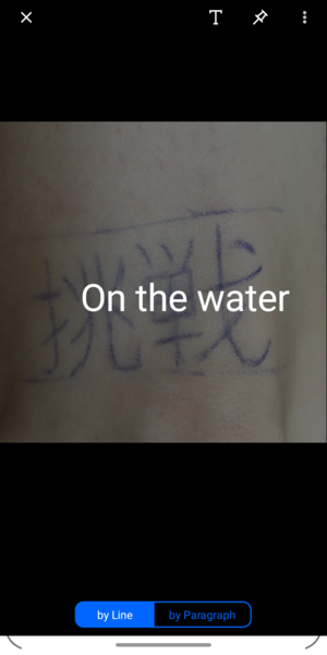 Please translate before she gets tattoed...