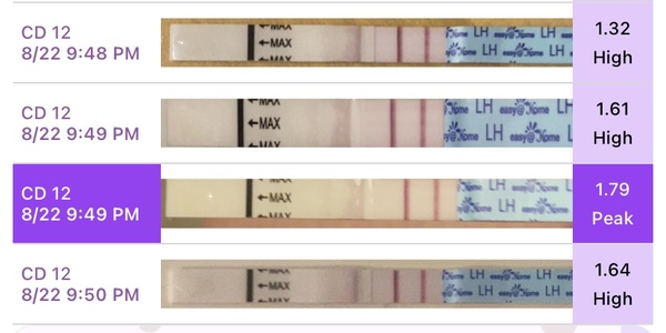 Same OPK test scored as 1.32, 1.61, 1.79 and 1.64! 🤷🏽