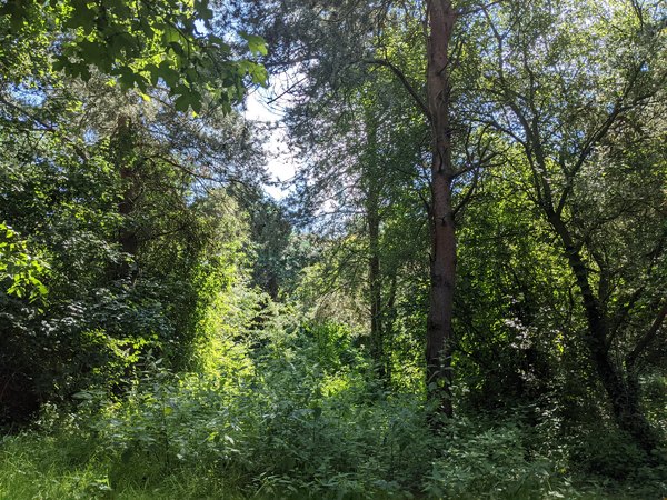 Any Witches Here? Part 14.