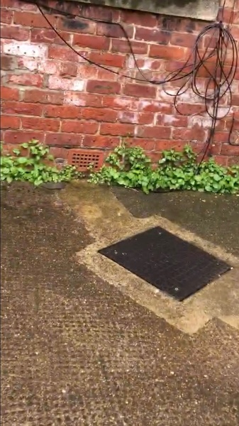 Help! Any damp detectives here?