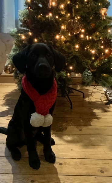 Knit, Crochet and Natter 5 - the roadmap to MORE YARN!