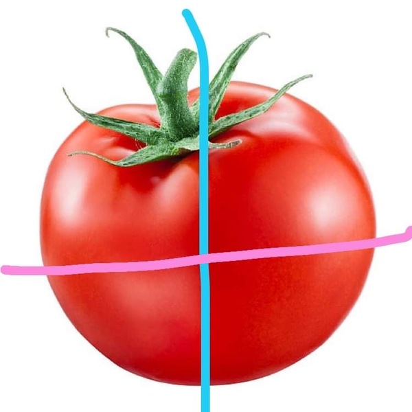 DH Cuts Tomatoes Vertically -AIBU To Be Outraged