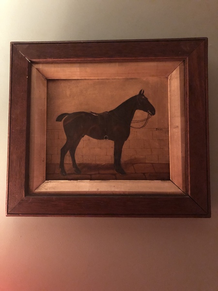 How many horses do you have?