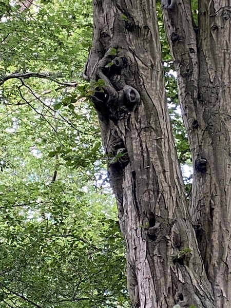 Any Witches Here? Part 15