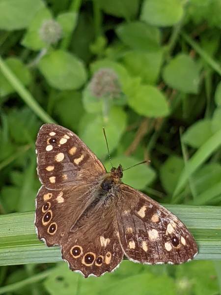 Any Witches Here? Part 15