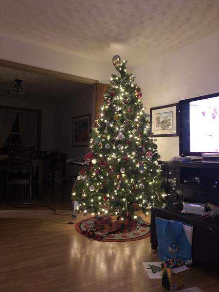 What do you put under the Christmas tree?