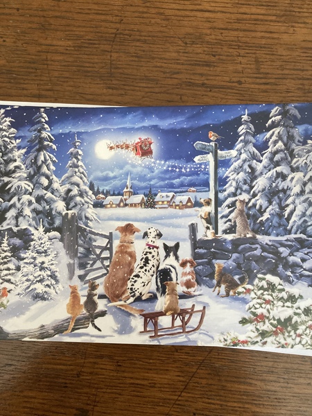 Just received the lovely, corny Christmas cards I ordered…