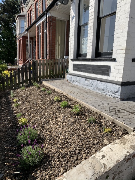 Green fingered mumsnetters, help!