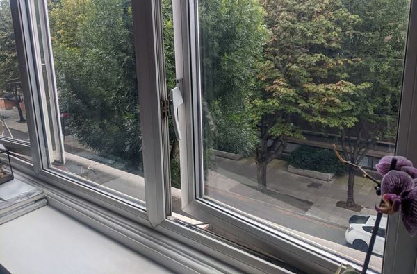 window box advice for absolute beginner