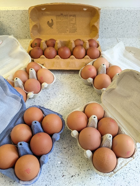 AIBU...Burford Brown Eggs...what else compares?