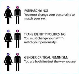 I found this slightly reassuring - re girls IDing as boys