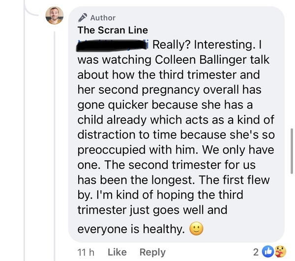 WE are pregnant. Surrogacy is a team effort?