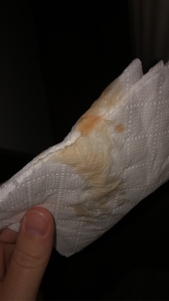 Is this my show? *****TMI PIC IN COMMENTS*****