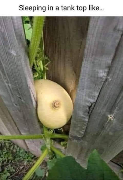 ADs don't want your freedom, ADs don't want to play around