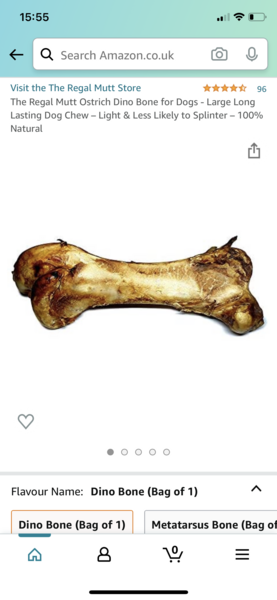 What treats/toys does your dog LOVE?