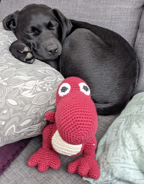 Knit, Crochet and Natter 5 - the roadmap to MORE YARN!