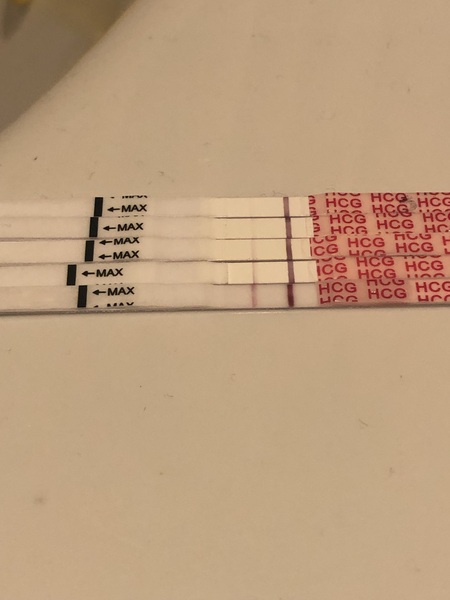 Light cramping and spotting after BFP- another chemical?