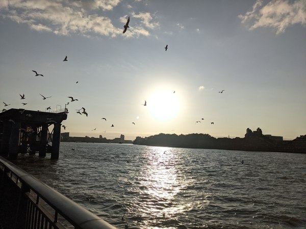 Any Witches Here? Part 15