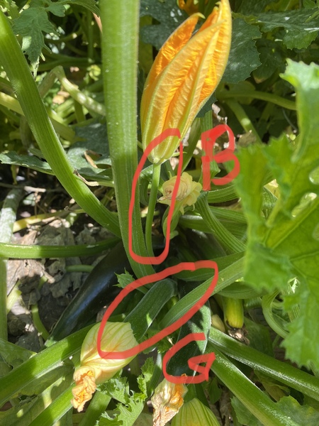 LOSE IT! August 2021