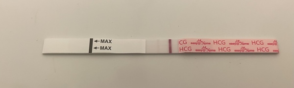 Miscarriage: Dr considers blood HCG negative but HPT still faint positive