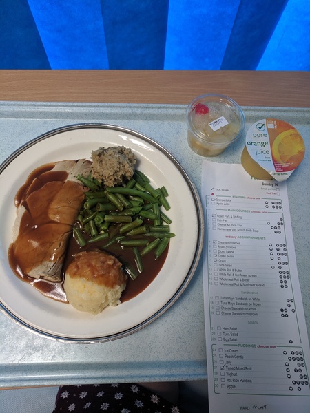 Hospital food pics!