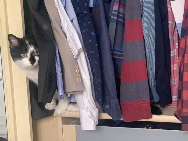 No cats in bedrooms