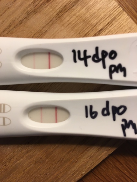 Nightmare FRERs - Line progression