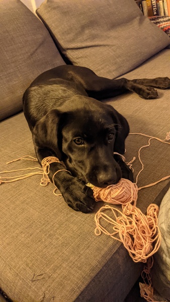 Knit, Crochet and Natter 6: Where there's a wool there's a way