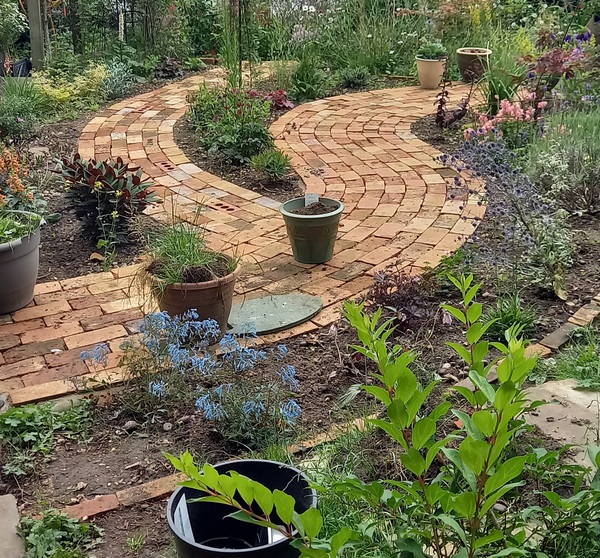 Artificial grass what's the deal?