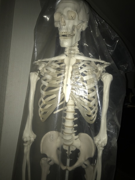 What's the strangest thing you've seen in someone's house that they thought was 'normal'?