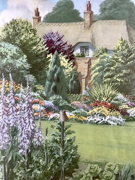 Plants that have gone out of fashion….and are due a revival