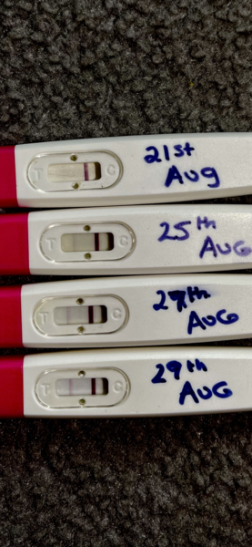 Pregnancy test progression