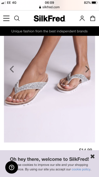 Help identifying these silver flip flops