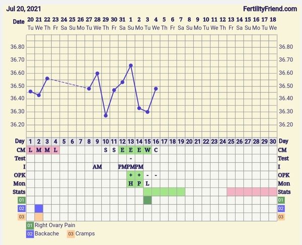 9DPO Symptom Spotting