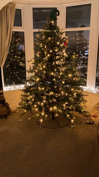 What do you put under the Christmas tree?