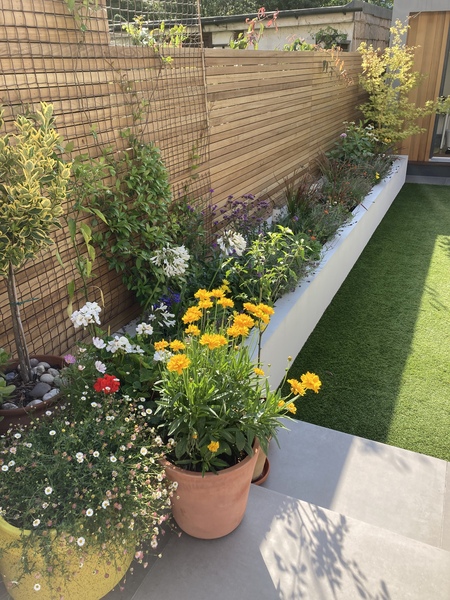 Novice note very active gardener what should I plant in my new raised beds?