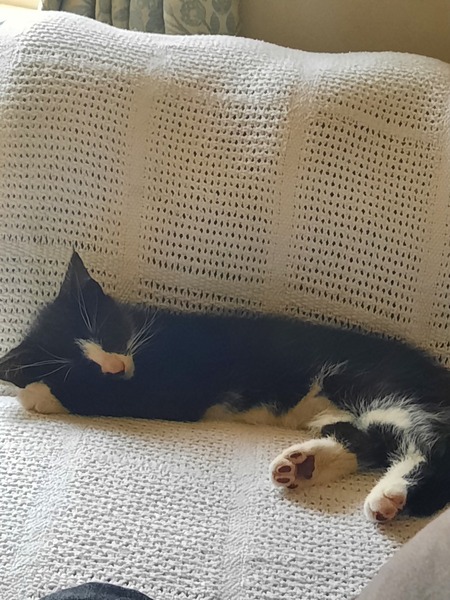 New little friend arrived yesterday!