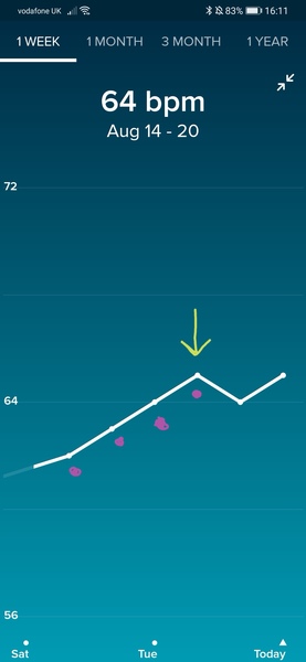 Tracking your cycle and possible BFP using RHR - part 6