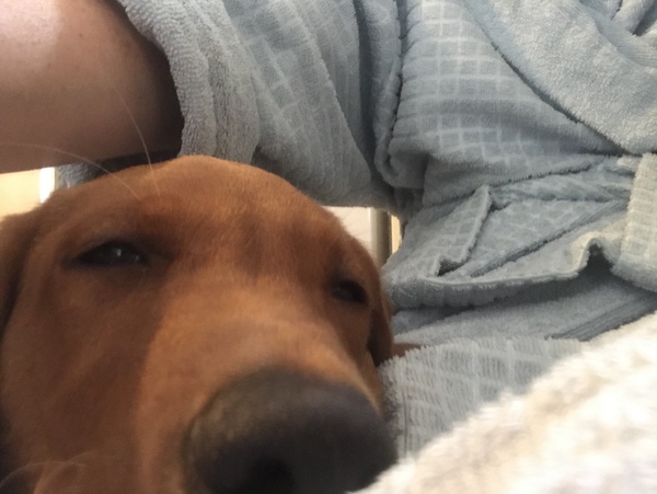 Puppy Survival Thread August part 2